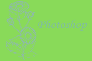 photoshop.png, 35kB