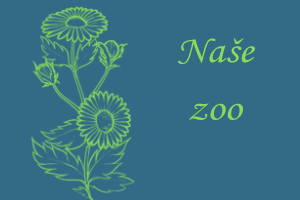 zoo.png, 35kB